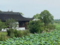 -上海海湾国家森林公园