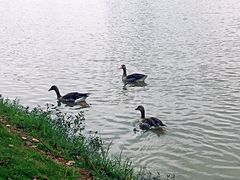 -艾溪湖湿地公园