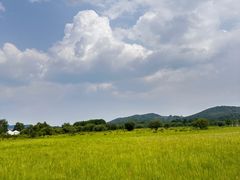 -塞罕坝国家级自然保护区