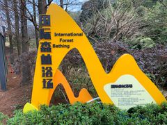 -广州市石门国家森林公园