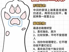 -纳吉亚猫专科动物诊疗中心(蒋宅口分院)