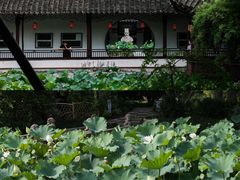 -上海醉白池公园