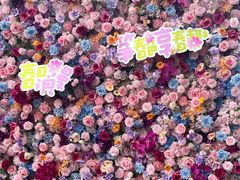 -巴黎春天(浦建店)