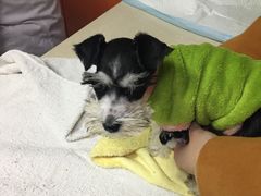 -惠康宠物医院(华能路店)