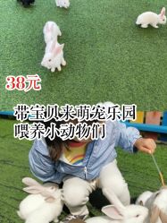 -萌宠亲子动物乐园(槐房万达店)