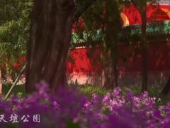 -北京凤凰岭