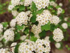 -云峰山自然风景区