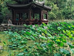 -莲湖公园
