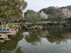 -范蠡湖公园