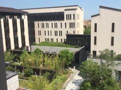 -上海崇明金茂凯悦酒店