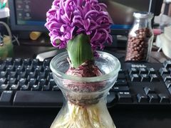 -富春汤包生煎馆(春晖店)