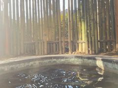 -北京君和豪生酒店