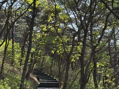 -棒棰岛宾馆景区