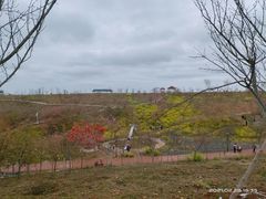 -绵阳盛世樱花悠乐谷