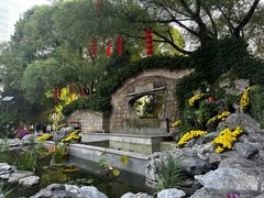 -团结湖公园