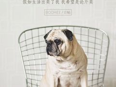 -螺小胖柳州螺蛳粉(钟楼总店)