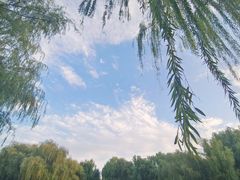 -三忘湖 SWANSEEN(柳荫公园店)