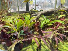 -国家植物园南园