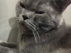 -小时光咖啡馆(开森度假森林店)