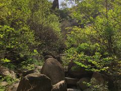 -嵖岈山风景区