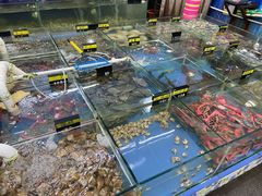 -明记海鲜大排档(巽寮湾店)