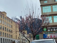-南渝食府.石锅鸡(尚城花园店)