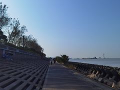 -上海滨江森林公园