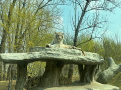 -北京野生动物园