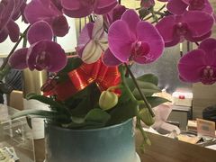 -新银座水汇(罗湖店)