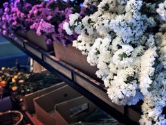 -L.C FLORA花予你(城西银泰城店)