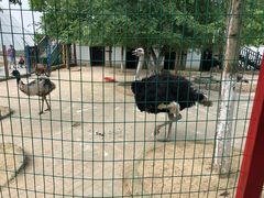 -武汉紫薇都市田园