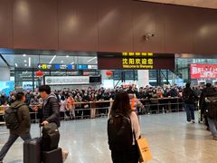 -Canada Goose加拿大鹅(沈阳万象城店)