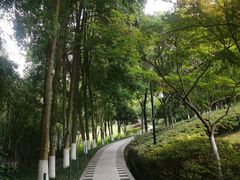-龙头寺公园