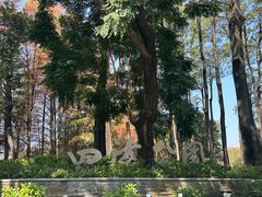 -四海公园(南山区)