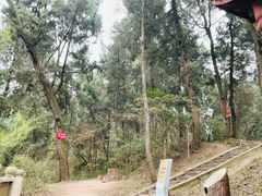 -金堂县云顶石城风景区