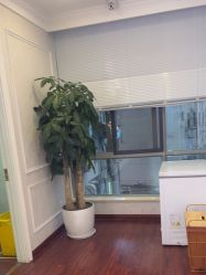 -武汉五洲整形外科医院