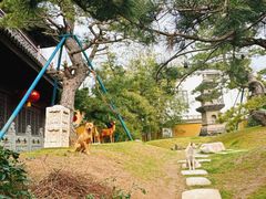 -龙华素斋(龙华路店)