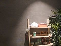 -施奈儿.洗头頭療.按摩SPA.采耳(上梅林店)
