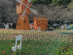 -苏州上方山国家森林公园