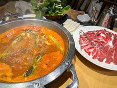 -老凯俚酸汤鱼(多彩城店)