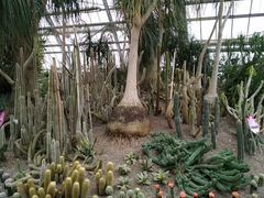 -南山植物园