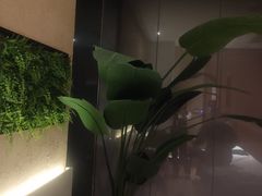 -新紫霞养生·影院足道·SPA(金山区店)