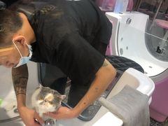 -FAELING PETS美天灵宠物(富力广场店)