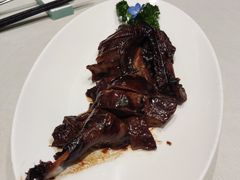 -蝶园·装修中(BFC外滩金融中心店)