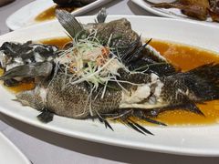 笋壳鱼-光明邨大酒家(汇阳广场店)
