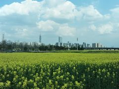 -白鹭湾湿地公园