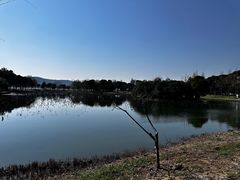 -无锡蠡湖国家湿地公园-蠡园