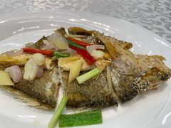 -九號渔港·蒸汽海鲜·粤菜茶点(八卦岭店)