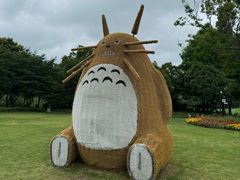 -长兴太湖图影湿地文化园