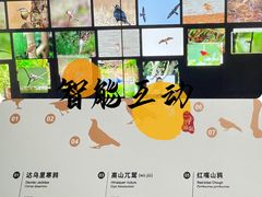 -四川大学博物馆